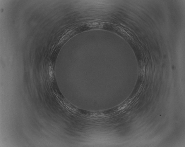 X0000070181154200605261125