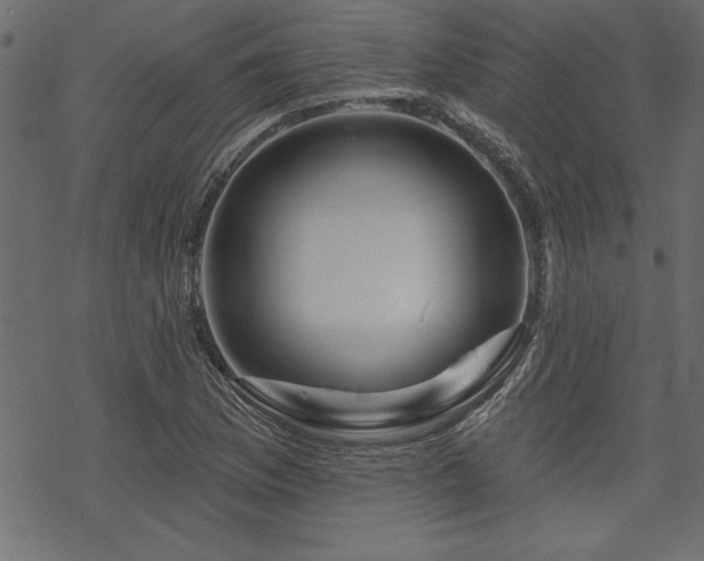 X0000070181169200605261125