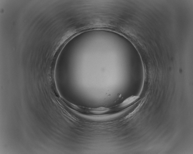 X0000070181170200605261125