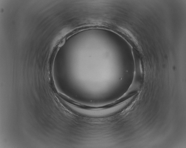 X0000070181172200605261125
