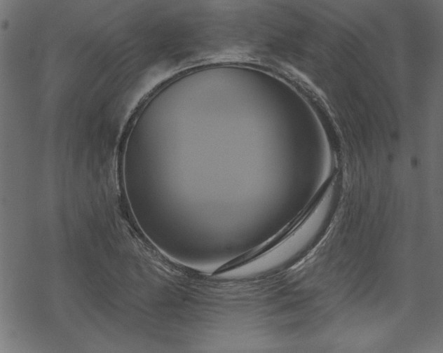 X0000070181174200605261125