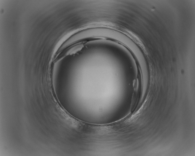 X0000070181192200605261125