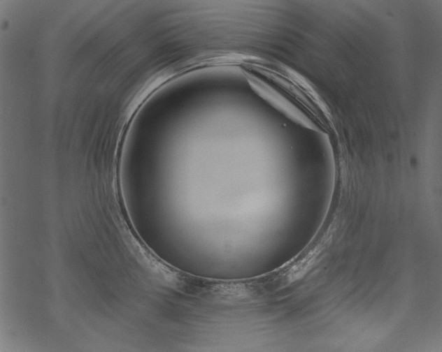 X0000070181194200605261125