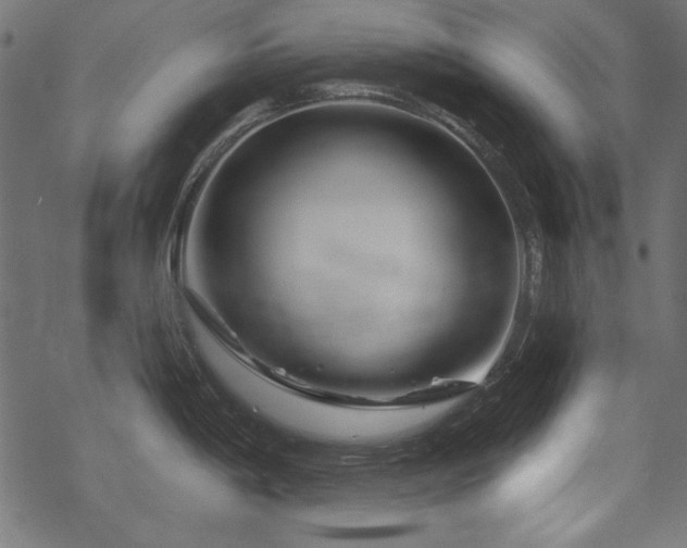 X0000070181198200605261125