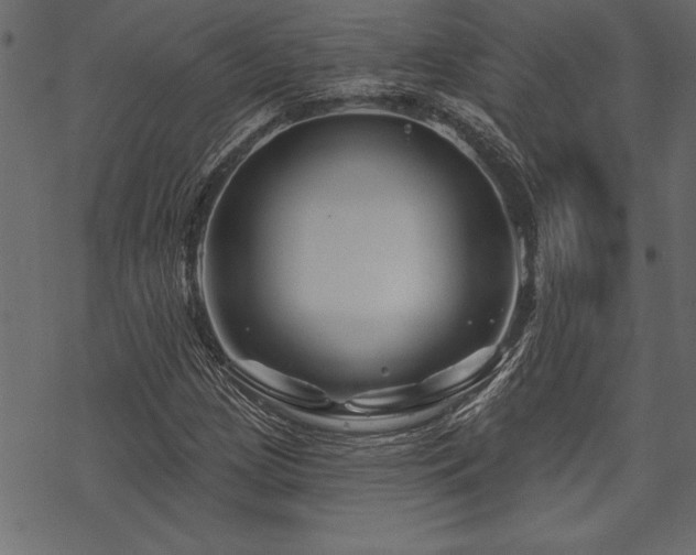 X0000070181209200605261124