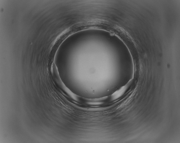 X0000070181210200605261124