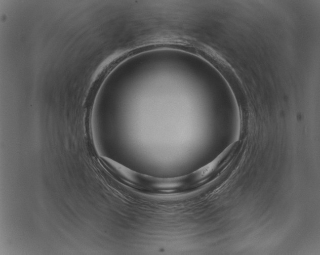 X0000070181222200605261124