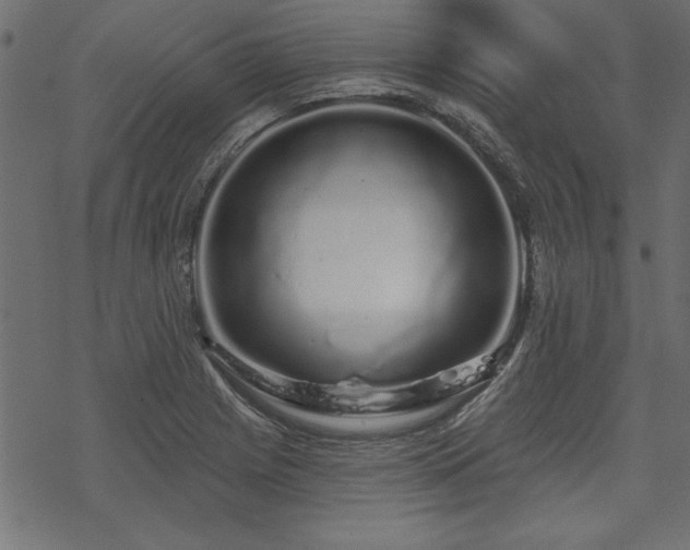 X0000070181225200605261124