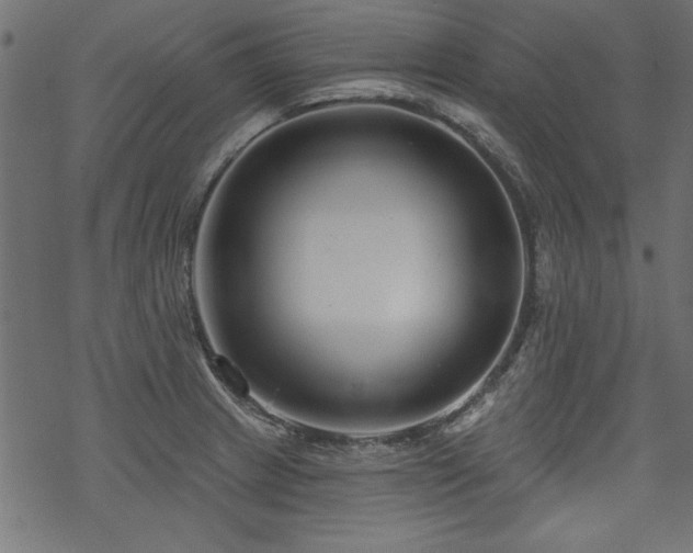 X0000070181233200605261124