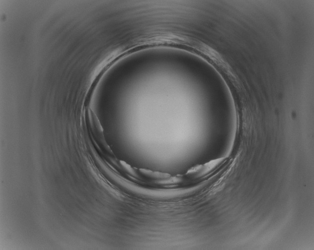 X0000070181234200605261124