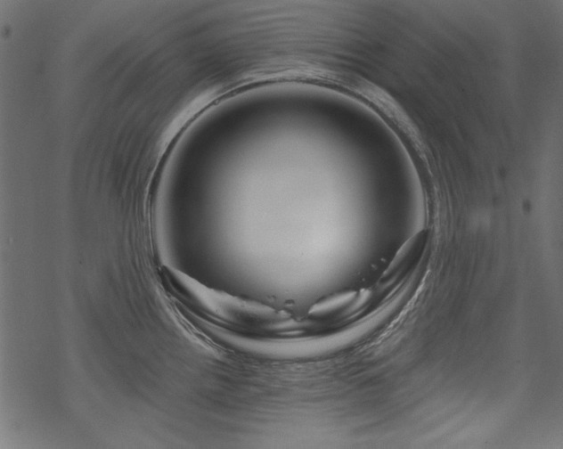 X0000070181242200605261124