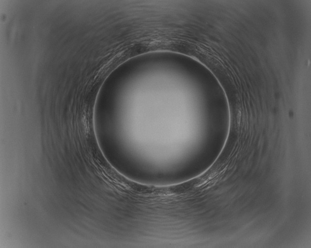 X0000070181250200605261124