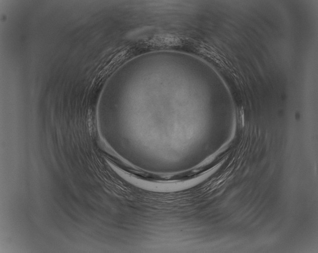 X0000070181251200605261124