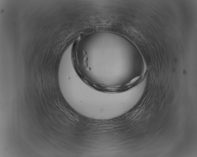 X0000070181252200605261124