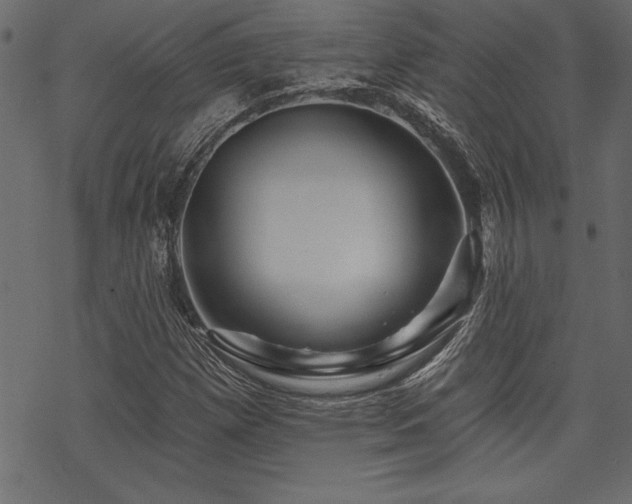 X0000070181257200605261124