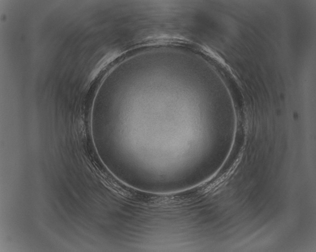 X0000070181259200605261124