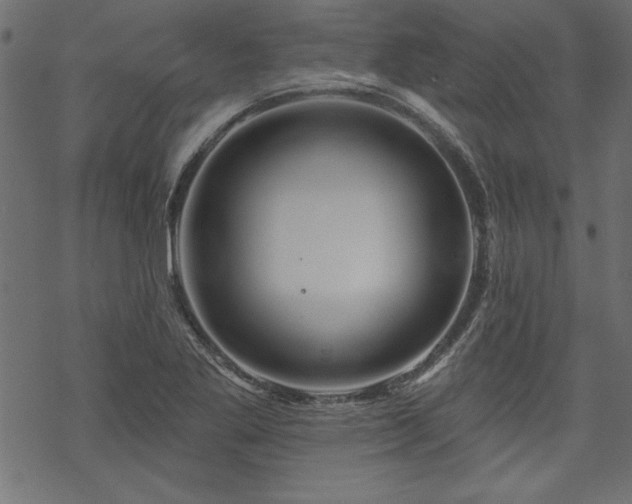 X0000070181269200605261123
