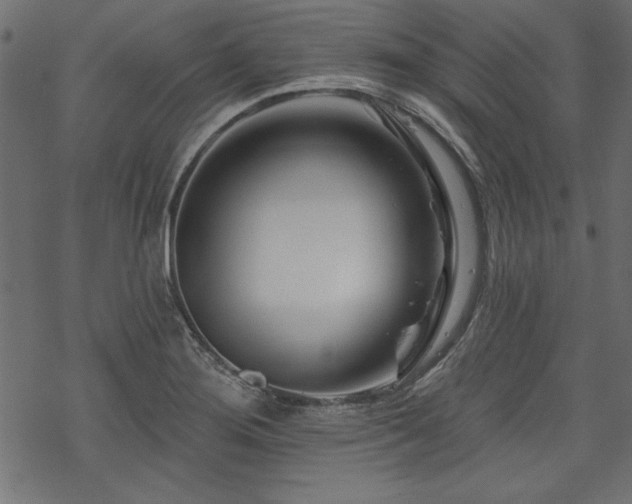 X0000070181276200605261123