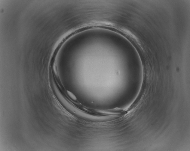 X0000070181280200605261123