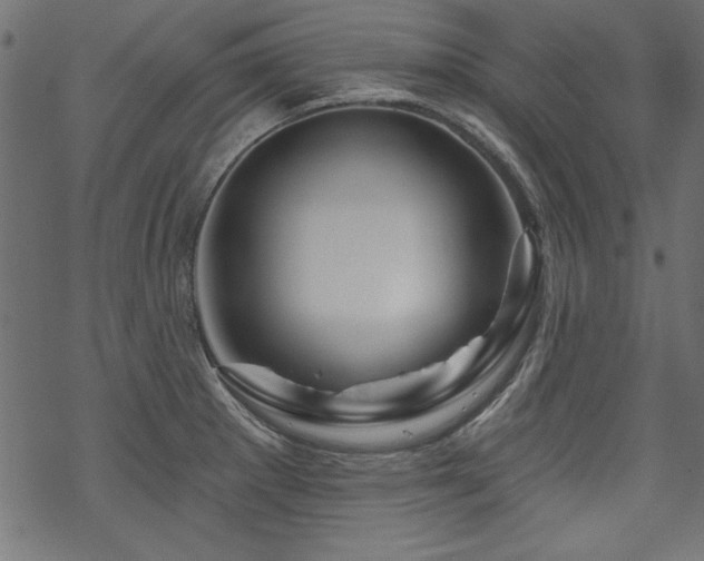 X0000070181281200605261123