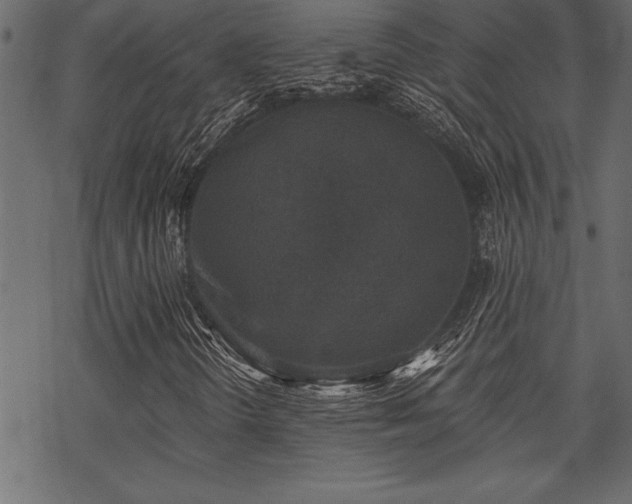 X0000070181298200605261122