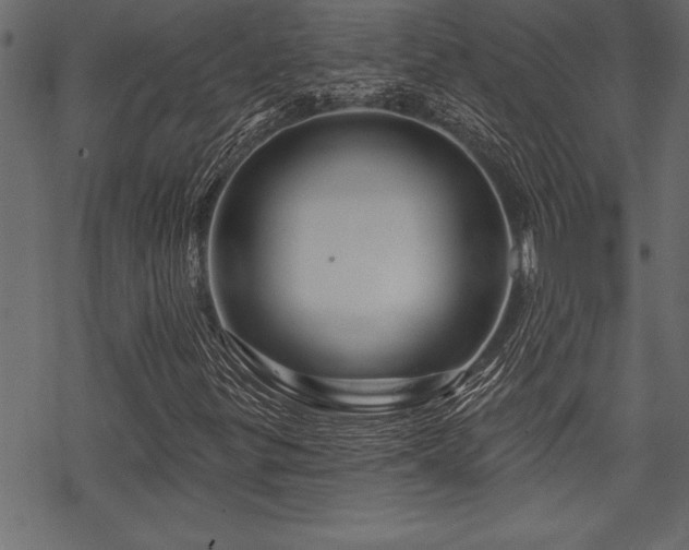 X0000070181299200605261122