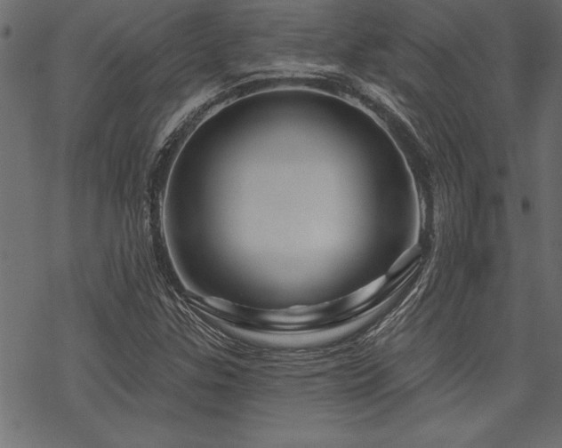 X0000070181307200605261122