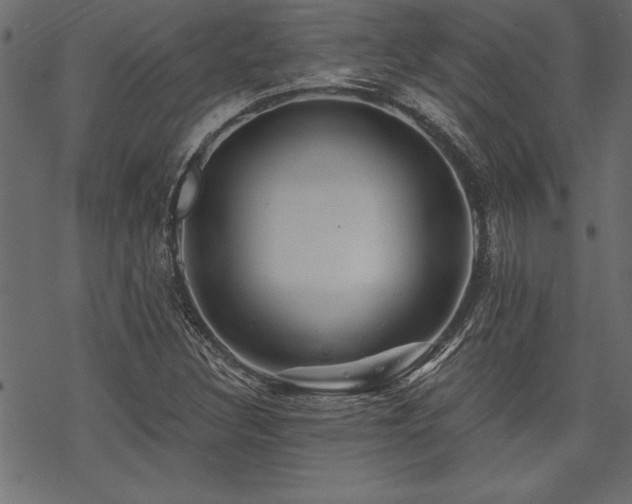 X0000070181308200605261122