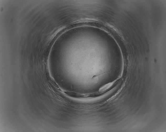 X0000070181313200605261122