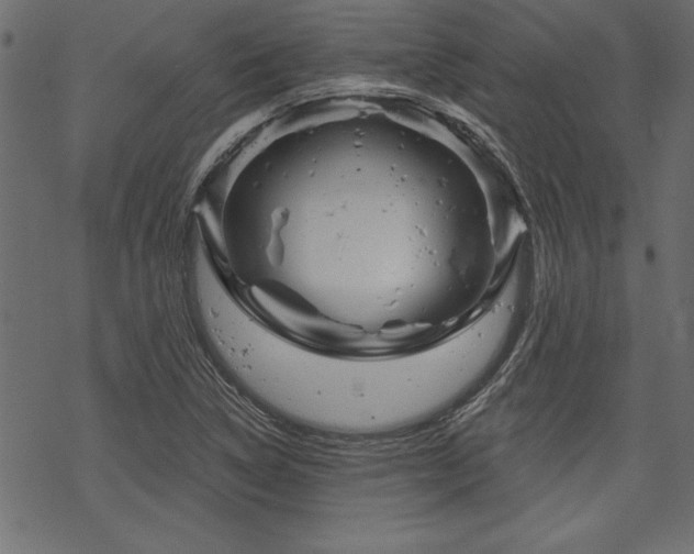 X0000070181314200605261122