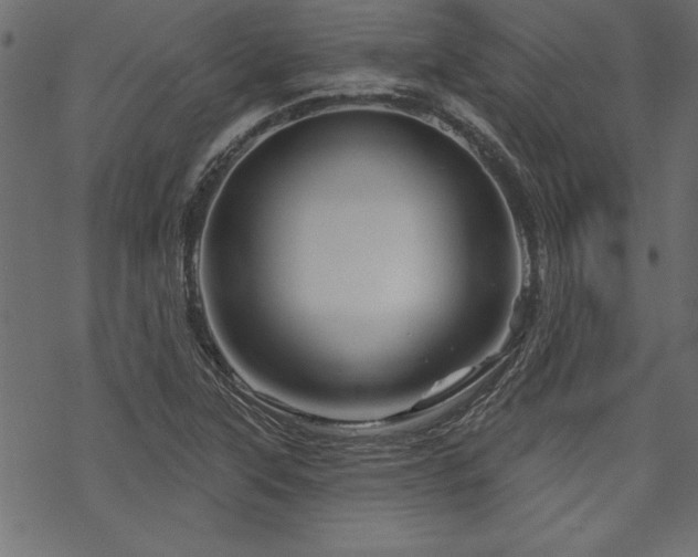X0000070181315200605261122