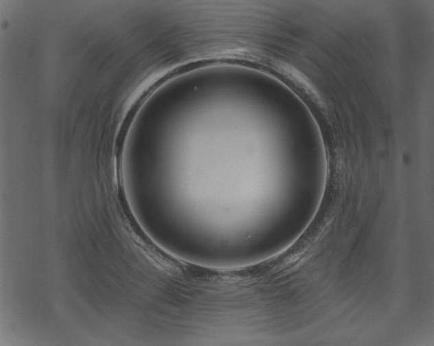 X0000070181324200605261123