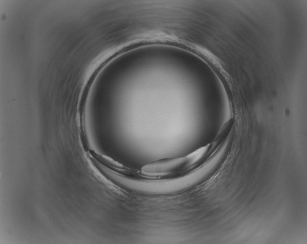 X0000070181335200605261123