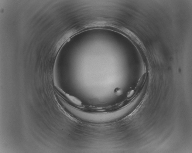 X0000070181337200605261123