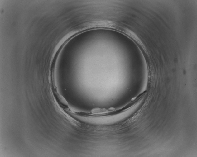 X0000070181339200605261123