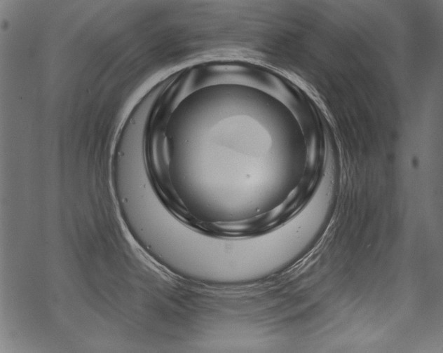 X0000070181342200605261123