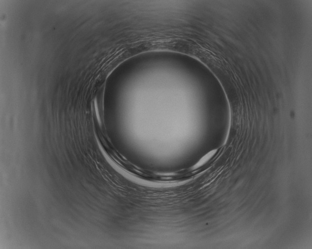 X0000070181346200605261122