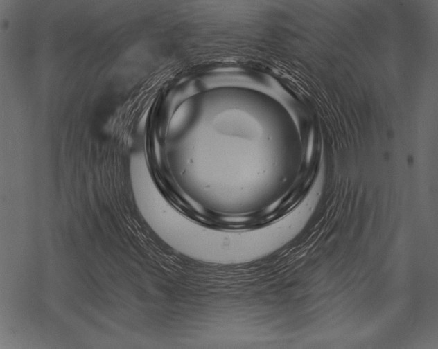X0000070181347200605261122