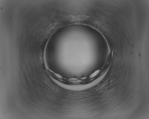 X0000070181348200605261122