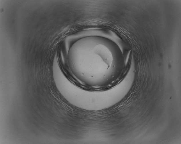 X0000070181349200605261122