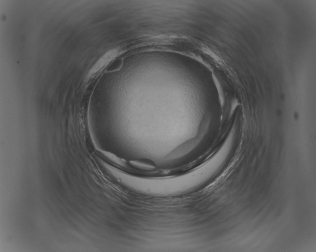 X0000070181354200605261122