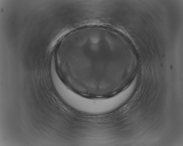 X0000070181359200605261122