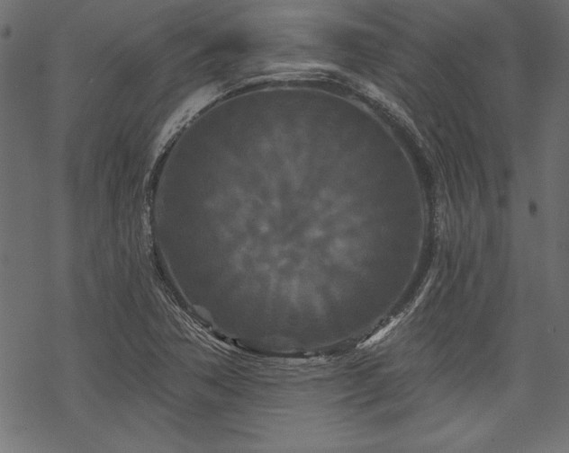 X0000070181362200605261122