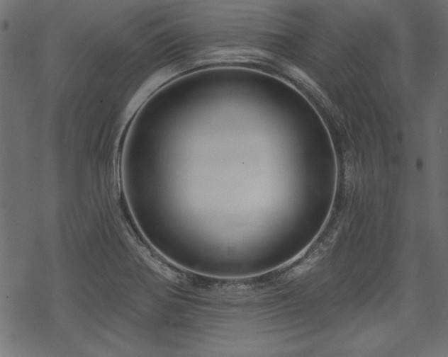 X0000070181370200605261122