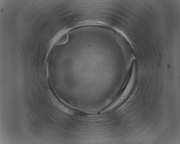 X0000070181371200605261122