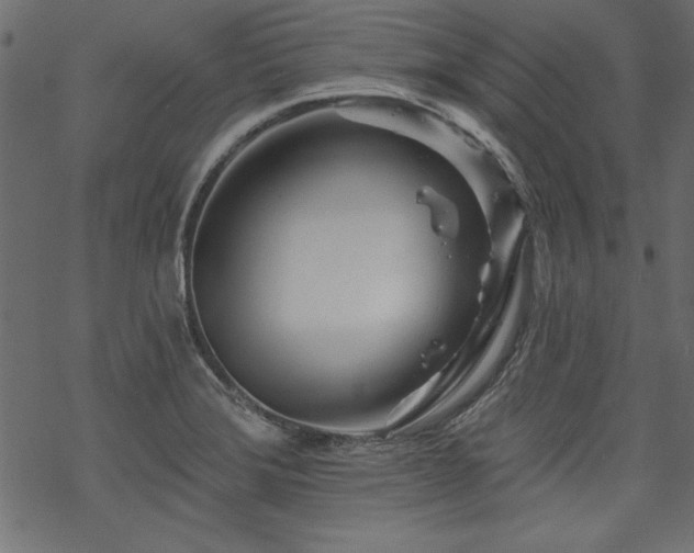 X0000070181372200605261122