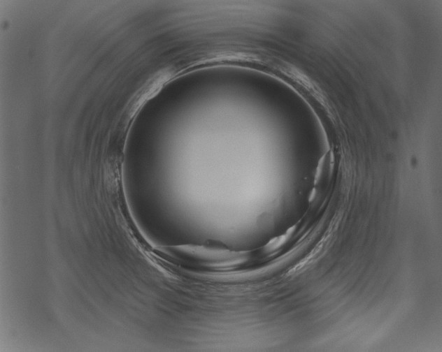 X0000070181377200605261122