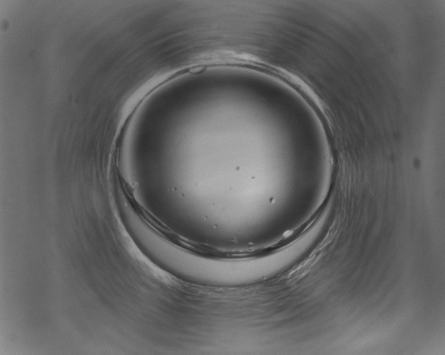 X0000070181387200605261122