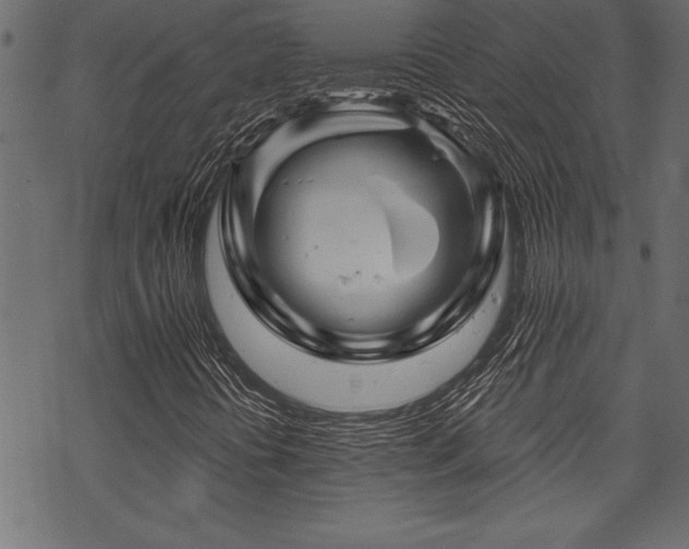 X0000070181394200605261121