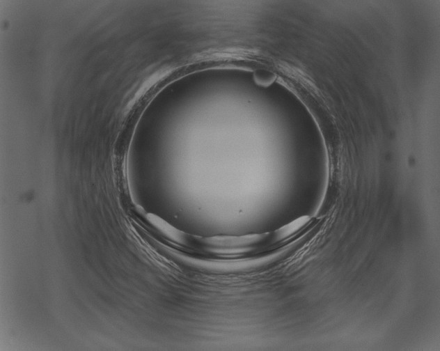 X0000070181404200605261121